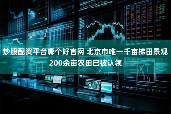 炒股配资平台哪个好官网 北京市唯一千亩梯田景观200余亩农田已被认领