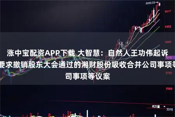 涨中宝配资APP下载 大智慧：自然人王功伟起诉公司 要求撤销股东大会通过的湘财股份吸收合并公司事项等议案