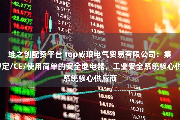 维之创配资平台 top威琅电气贸易有限公司：集成/稳定/CE/使用简单的安全继电器，工业安全系统核心供应商