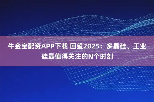 牛金宝配资APP下载 回望2025：多晶硅、工业硅最值得关注的N个时刻