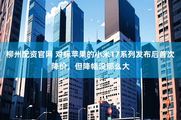 柳州配资官网 对标苹果的小米17系列发布后首次降价，但降幅没那么大