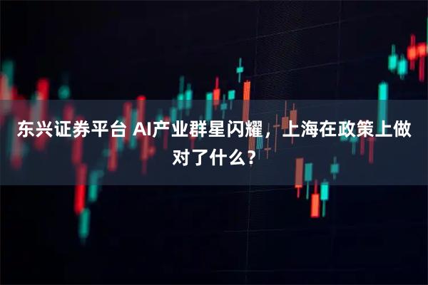 东兴证券平台 AI产业群星闪耀，上海在政策上做对了什么？