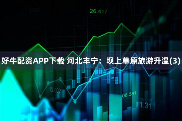 好牛配资APP下载 河北丰宁：坝上草原旅游升温(3)